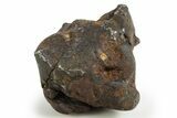 Whole Sericho Pallasite Meteorite ( g) - Kenya #302882-1